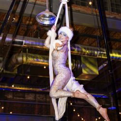 CaroLyra Aerial Arts