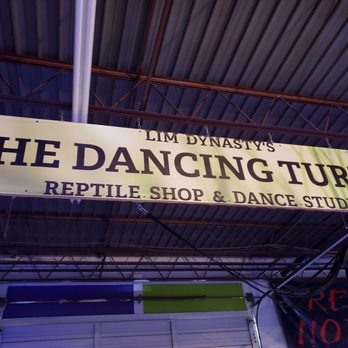 The Dancing Turtle - Dance Studios Near Me - Albuquerque, New Mexico