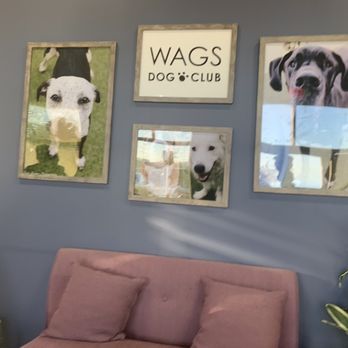 Wags Dog Club - Pet Boarding Near Me - Rochester, New York Wags Dog Club - Pet Boarding Near Me - Rochester, New York