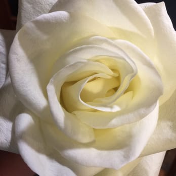 R Flowers - Florists Near Me - Harrison Township, Michigan