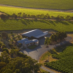 Oliver's Taranga Vineyards - Aerial photo of Oliver's Taranga