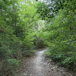 Tamanend Upper Southampton Community Park - Trail