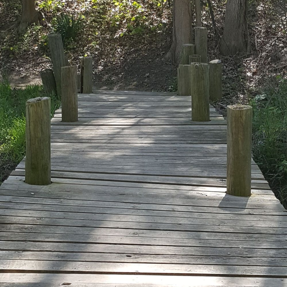 River Bluff Park - Parks Near Me - Saugatuck, Michigan River Bluff Park - Parks Near Me - Saugatuck, Michigan