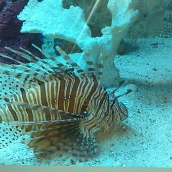 Tulsa Zoo - Zoos Near Me - Tulsa, Oklahoma