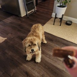 New soft treats! New soft treats!