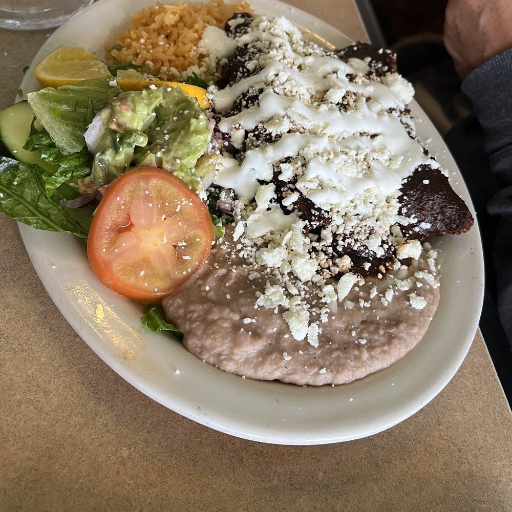 El Tarasco - Chicken mole  enchiladas - Mexican Near Me - Chicago, Illinois