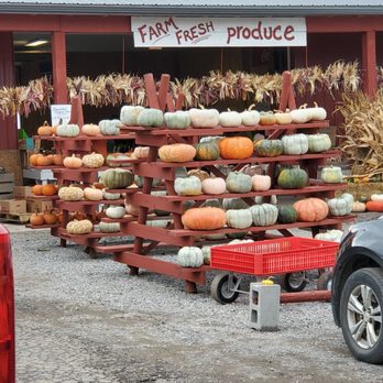 Greg's U-Pick - Pick Your Own Farms Near Me - Clarence Center, New York