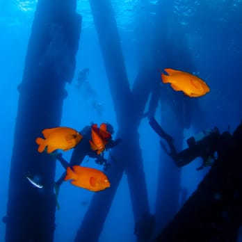 Ocean Safari Scuba - Oil Rig Diving, 2011 - Scuba Diving Near Me - San Gabriel, California
