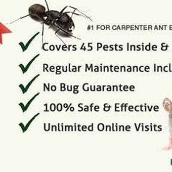 EnviroPest - Pest Control Near Me - Syracuse, New York EnviroPest - Pest Control Near Me - Syracuse, New York