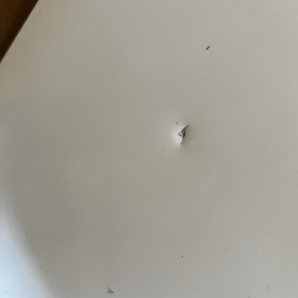Tiger Construction - Hole they put into the side of our freezer when they moved it - General Contractors Near Me Tiger Construction - Hole they put into the side of our freezer when they moved it - General Contractors Near Me