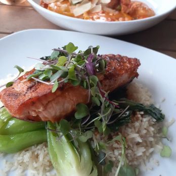 Boca Oyster Bar - Salmon - New American Near Me - Bridgeport, Connecticut Boca Oyster Bar - Salmon - New American Near Me - Bridgeport, Connecticut