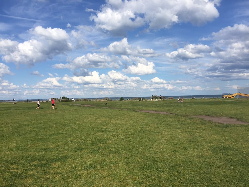 ALTONA DOG BEACH Updated August 2024 Altona Road, Altona Victoria