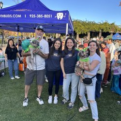 Cobain Orthodontics - Trick Or Treat Street w/ Lamorinda Toothbuds