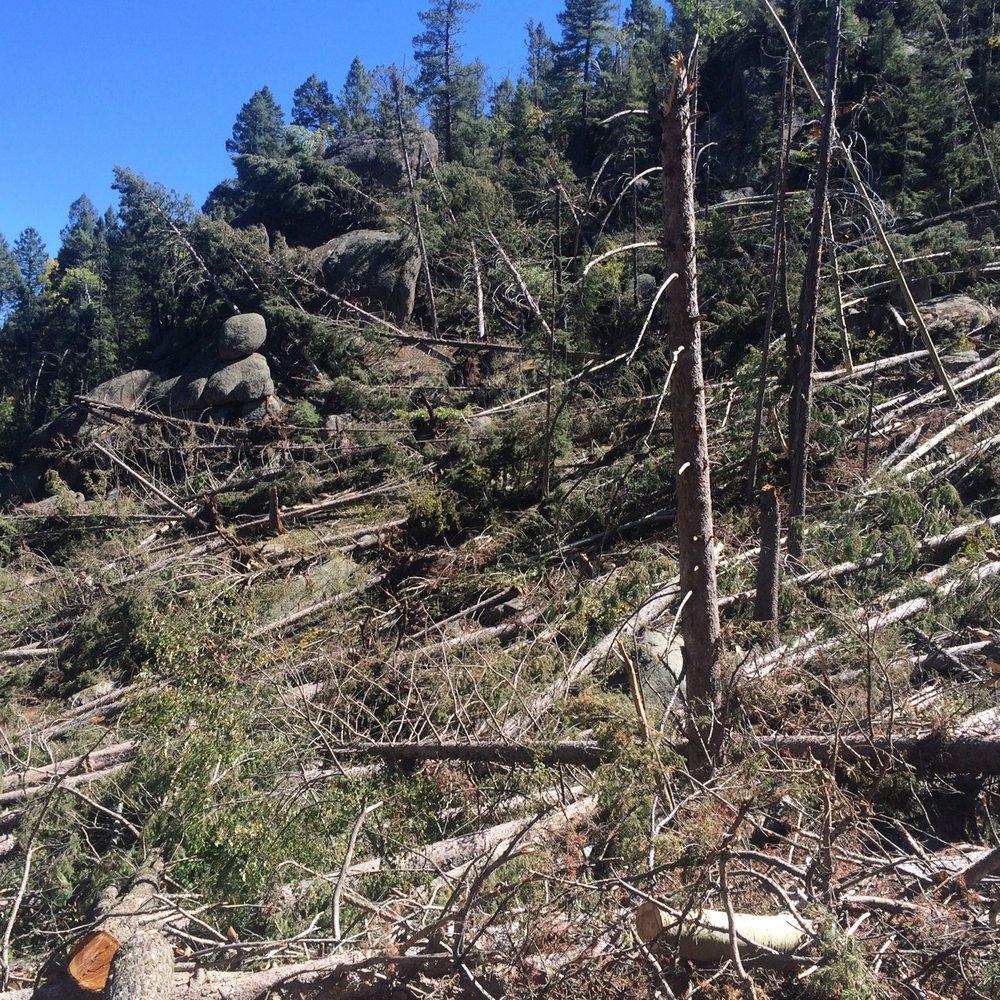 Devils Head Fire Tower - Hiking Near Me - Sedalia, Colorado