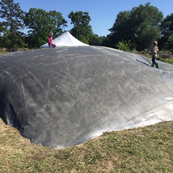 Mrs Heather's Strawberry Patch - Like a big bounce house! - Pick Your Own Farms Near Me - Albany, Louisiana Mrs Heather's Strawberry Patch - Like a big bounce house! - Pick Your Own Farms Near Me - Albany, Louisiana