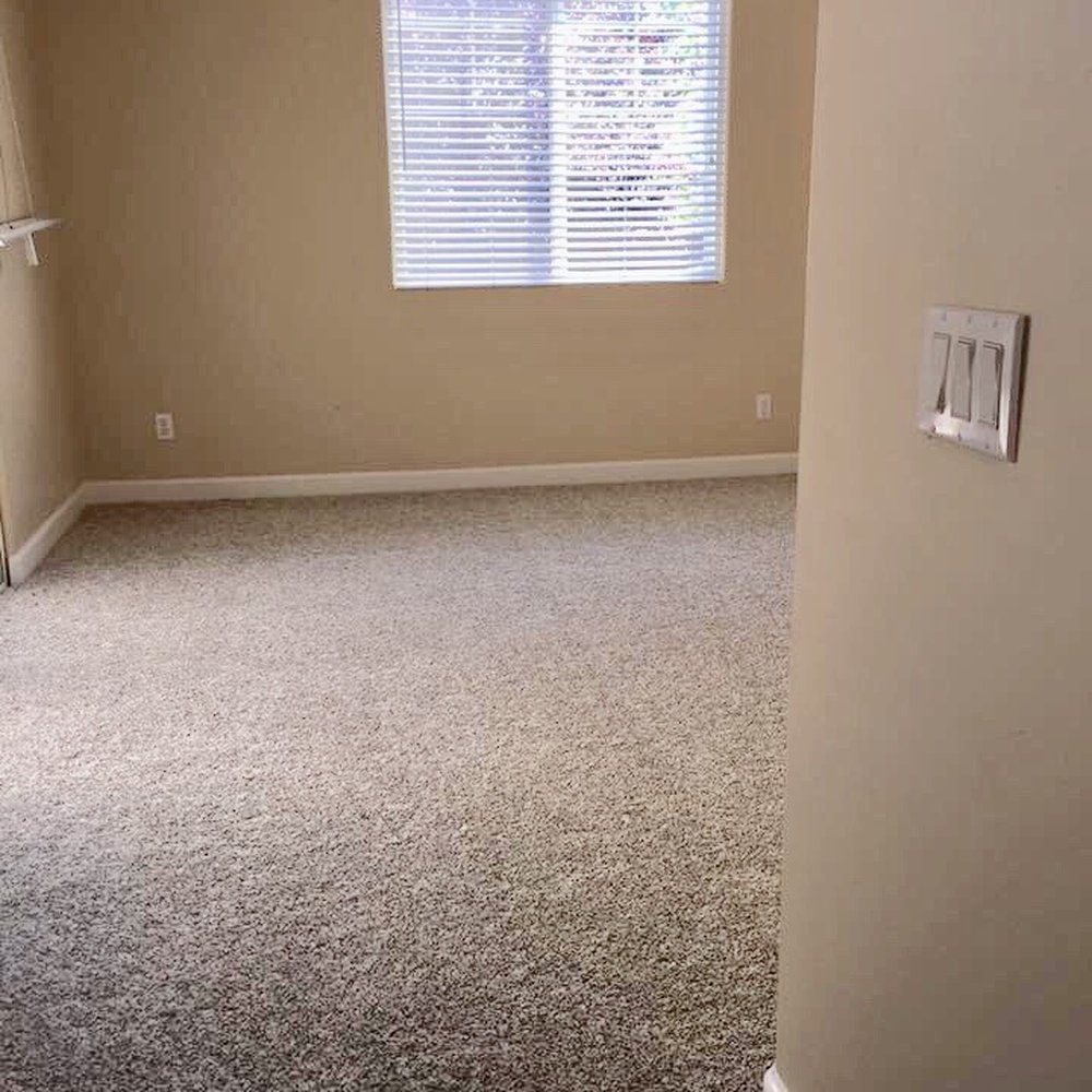 Distinctive Floor Coverings - Master bedroom with carpet - Flooring Near Me Distinctive Floor Coverings - Master bedroom with carpet - Flooring Near Me