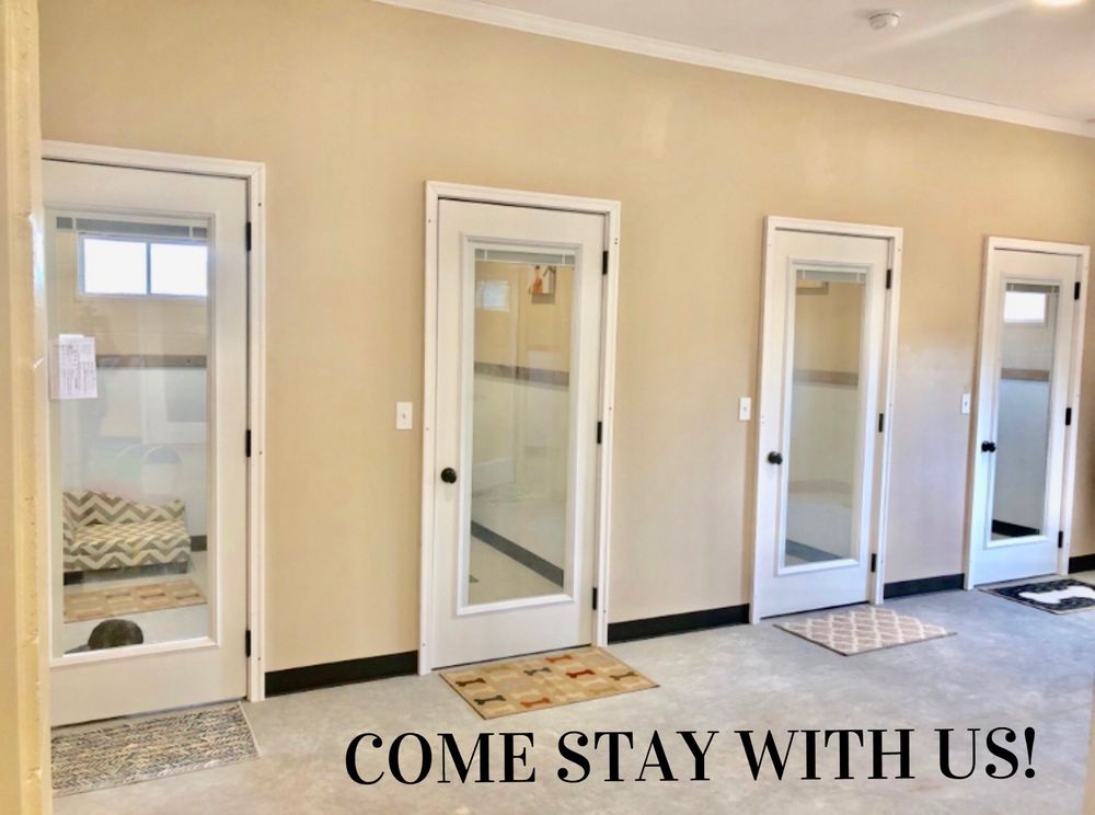 VETERINARY HOSPITAL Updated September 2024 Request