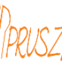 Photo of Pruszynka