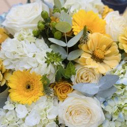 Stem & Petal Florals - Florals