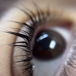 Sky Threading Salon - Eye lash lift/tint