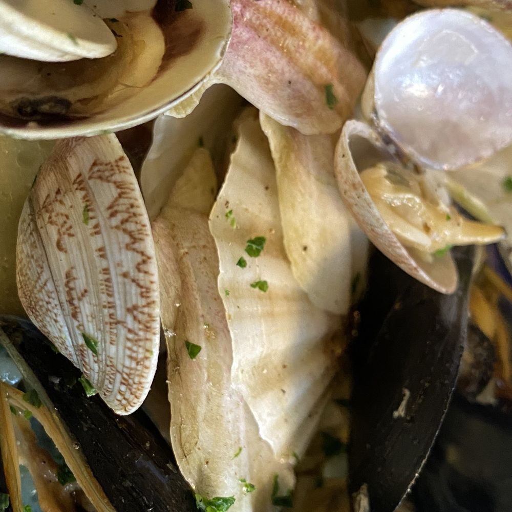 Trattoria Al Passo - Clam dish - Italian Near Me - Venezia, VE