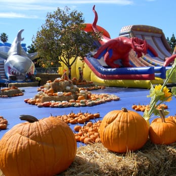 ABC TREE FARMS AND PICK OF THE PATCH PUMPKINS - CLOSED - 13 ...