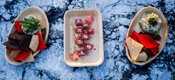 Rose & Thorn by null