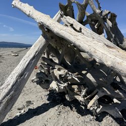 Richmond Beach Saltwater Park