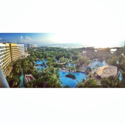 The view The view