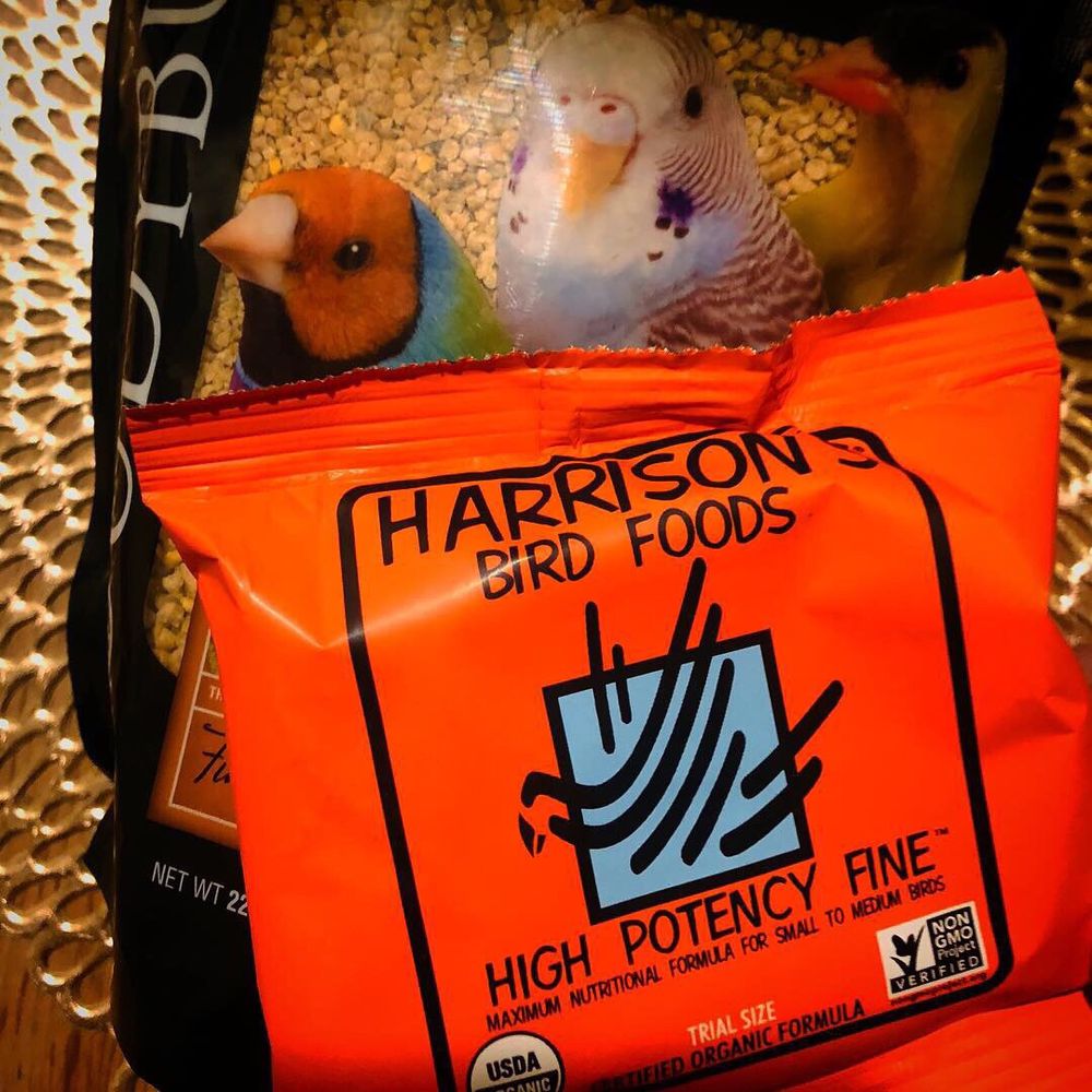 THE BIRD CLINIC 13 Photos & 73 Reviews Veterinarians 200 S Tustin