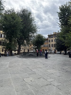 Piazza Santo Spirito by null