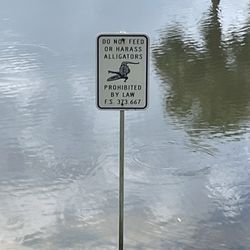 Saw one gator just off the tee box