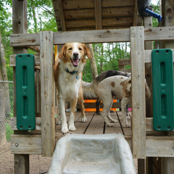 The Barking Birch Pet Lodge - Pet Sitting Near Me - Cold Spring, Minnesota