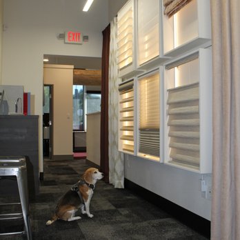 Current Home Technologies - Hunter Douglas Custom Window Treatments and Roxy the Beagle - Home Theatre Installation Near Me - Vancouver, Washington