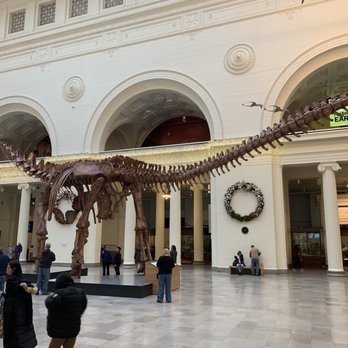 Field Museum - Museums Near Me - Chicago, Illinois Field Museum - Museums Near Me - Chicago, Illinois