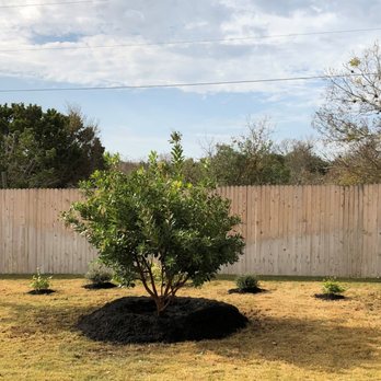 Moon Valley Nurseries - 2 red oaks, strawberry tree and several bushes that were planted - Nurseries & Gardening Near Me - Austin, Texas Moon Valley Nurseries - 2 red oaks, strawberry tree and several bushes that were planted - Nurseries & Gardening Near Me - Austin, Texas