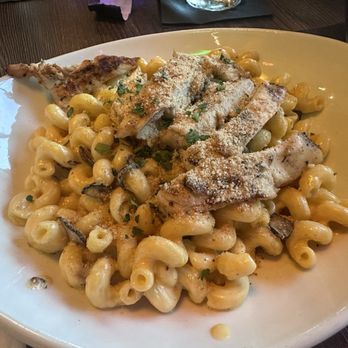LALA St Pete - Truffle Mac & cheese with chicken - Karaoke Near Me - St. Petersburg, Florida LALA St Pete - Truffle Mac & cheese with chicken - Karaoke Near Me - St. Petersburg, Florida