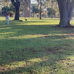 Florida Elks Youth Camp - Ropes