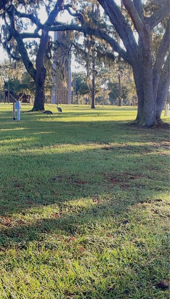Florida Elks Youth Camp Logo