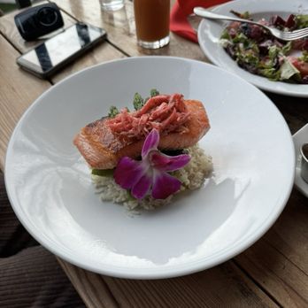 Riviera House - Herbed Salmon - Seafood Near Me - Redondo Beach, California Riviera House - Herbed Salmon - Seafood Near Me - Redondo Beach, California