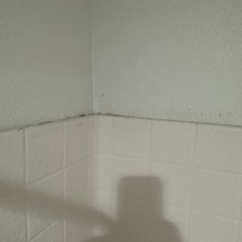 Quality Inn & Suites - Mold in the shower. Unclean dirty hotel - Hotels Near Me - Santa Rosa, California