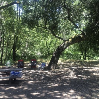 Sugarloaf Ridge State Park - Campsite 9 - Parks Near Me - Kenwood, California Sugarloaf Ridge State Park - Campsite 9 - Parks Near Me - Kenwood, California