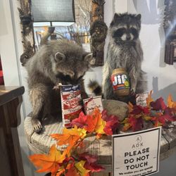 ADK Home - Quirky art