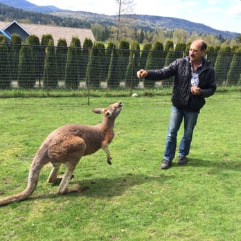 Fall City Wallaby Ranch - Ranches Near Me - Fall City, Washington