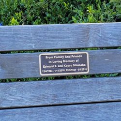 Joinville Park - Bench