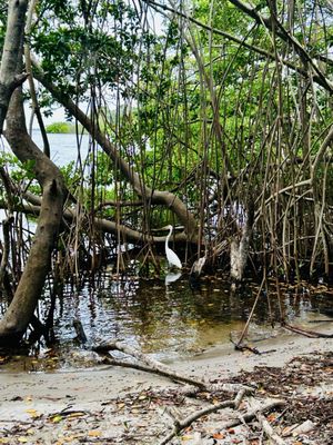 Philippe Park by null