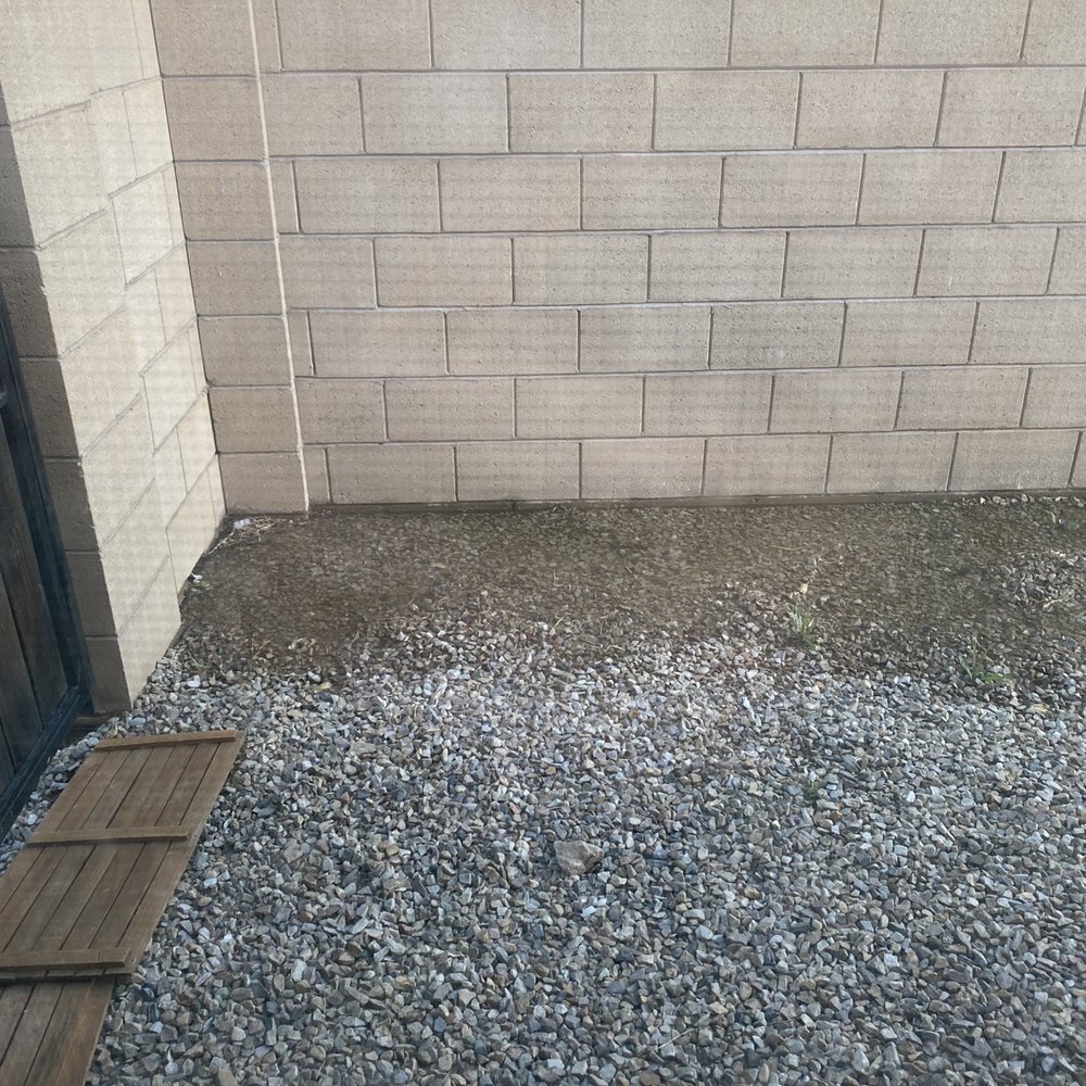 Action Yard and Tree Service - Tree Services Near Me - Tucson, Arizona Action Yard and Tree Service - Tree Services Near Me - Tucson, Arizona