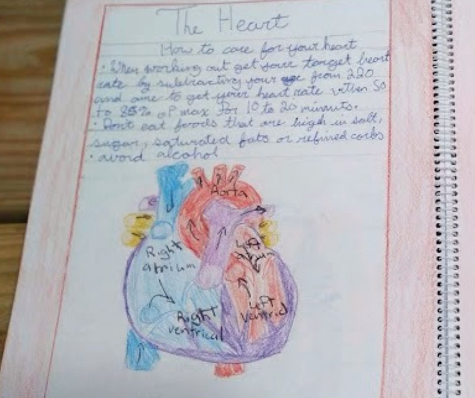 The Waldorf School of St. Louis - childcare center in Webster Groves, MO