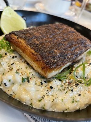 Roberto's Deluxe Oysters and Fine Fish by null