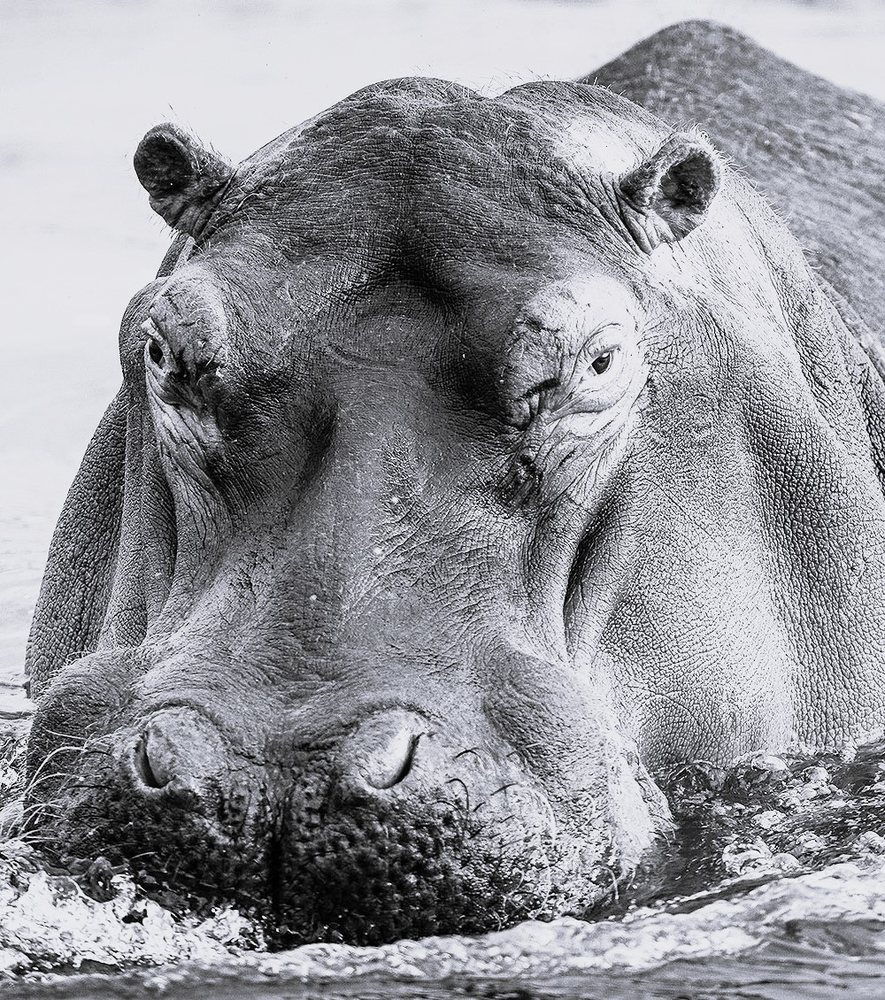 Social spots from Piermont Village